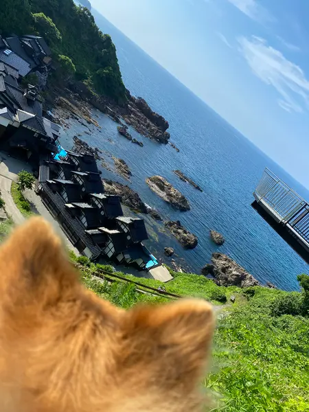 眼下に ランプの宿