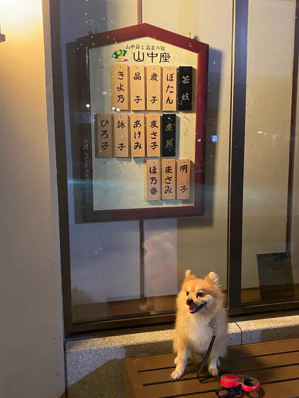 700円で観覧できます