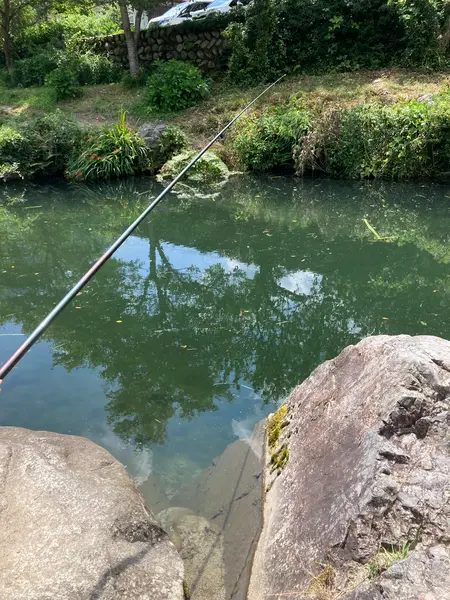 早速挑戦🎣