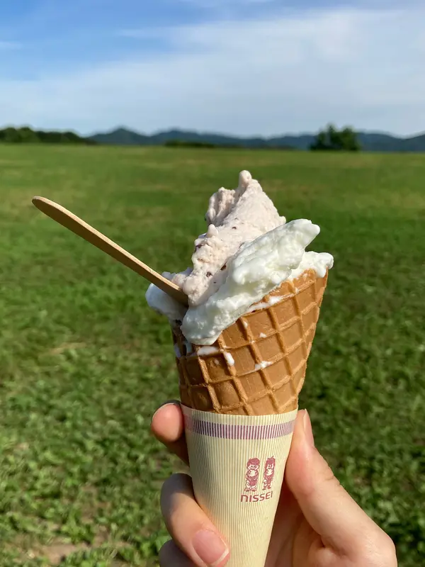ジェラート ダブル (510円)