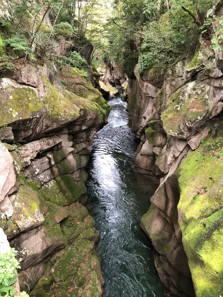 この日の天気は曇りでしたが...
