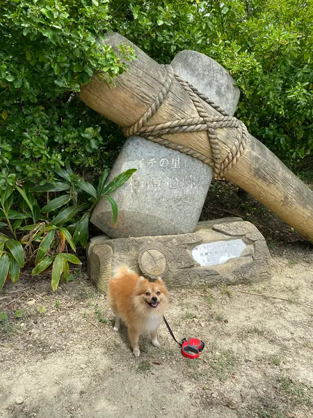 入口です