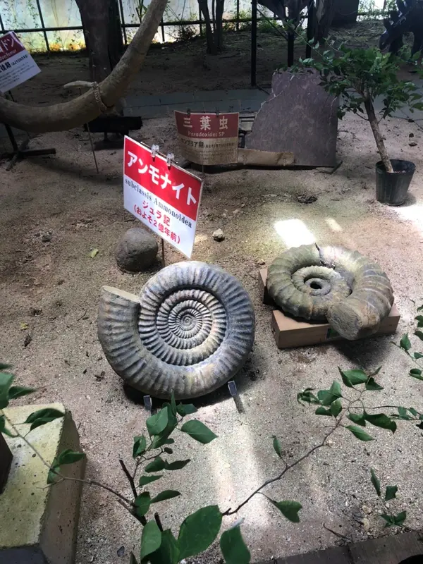 スポット内のおすすめ