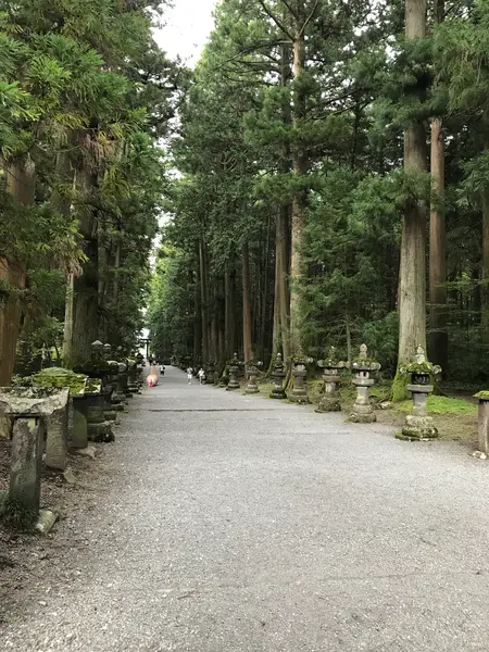 スポット内のおすすめ