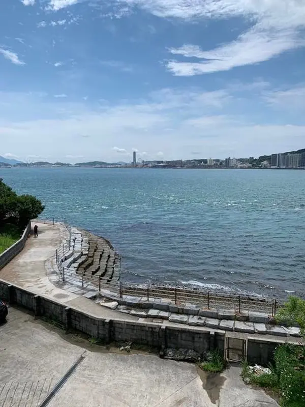 青い海に大興奮！