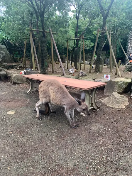 ゼロ距離！！