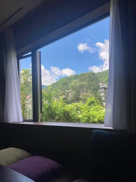 部屋からの景色