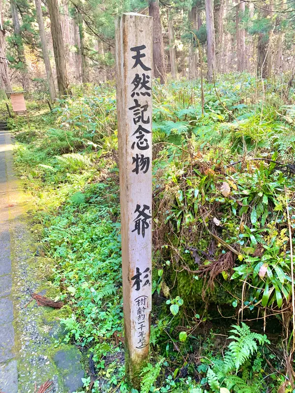 スポット内のおすすめ