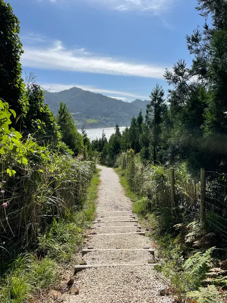 白い道 - The white road