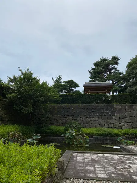 堀と緑のコントラスト