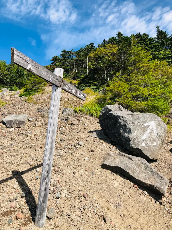 晴れ☀️てきたので