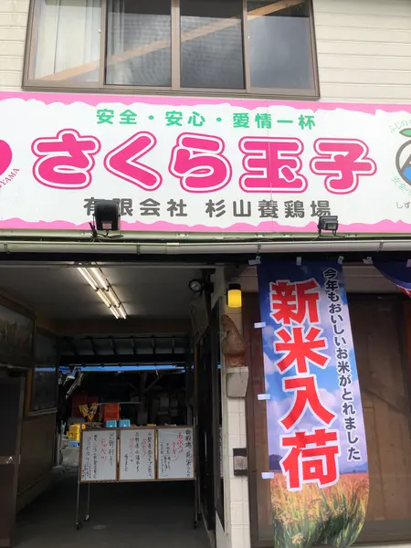 スポット内のおすすめ