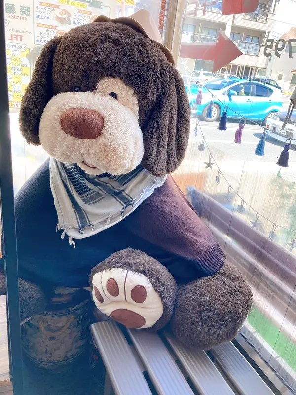 わんちゃん🐶