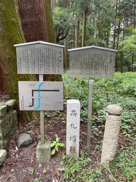 スポット内のおすすめ