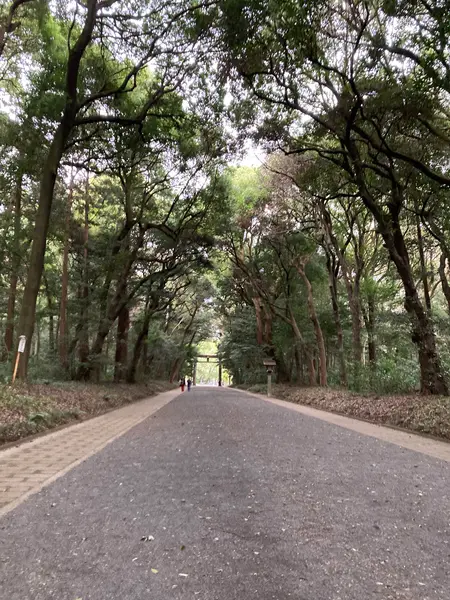 北参道の鎮守の森