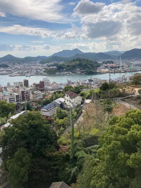 景色