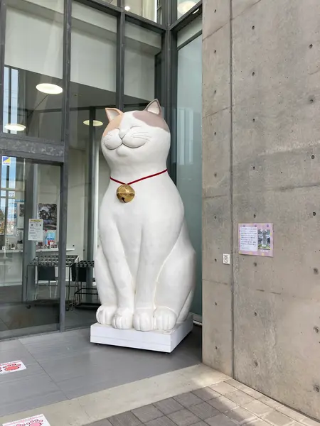 ここにも猫