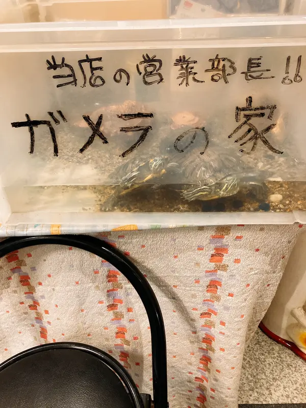 ガメラの家