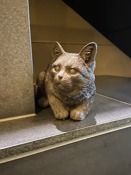 ロビーには猫