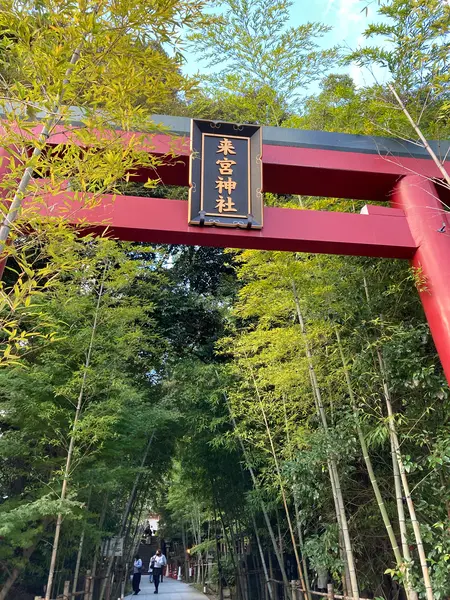 素敵な神社✨