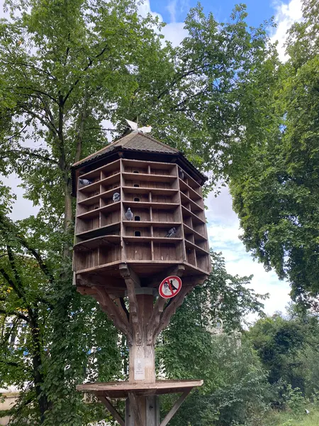鳩小屋