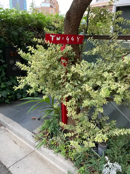 目印の美容室の看板
