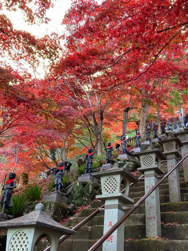 石段の見事な紅葉🍁🍁🍁🍁🍁🍁🍁🍁