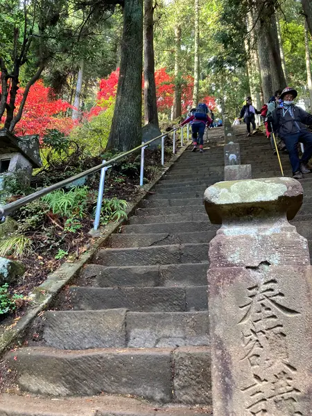 大山阿夫利神社本社に続く石段