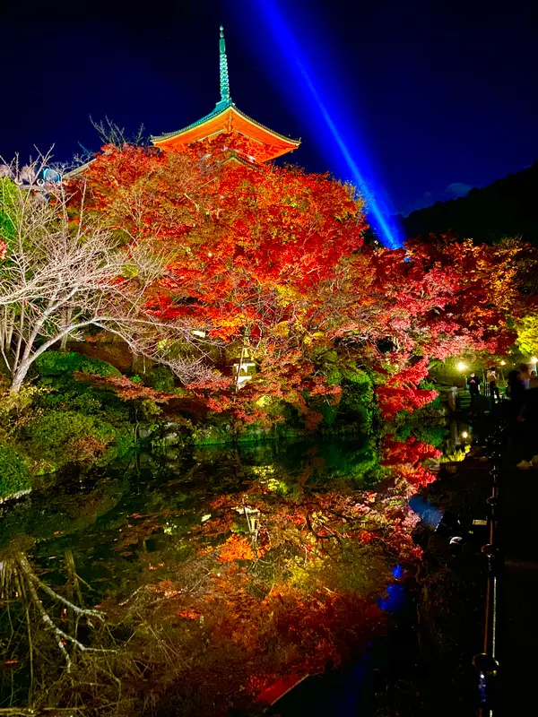 リフレクション