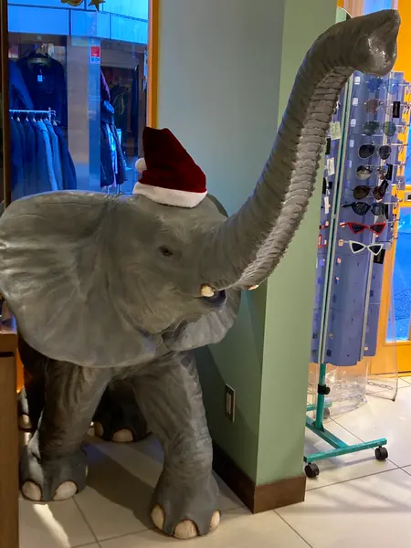 店内にはゾウさんも
