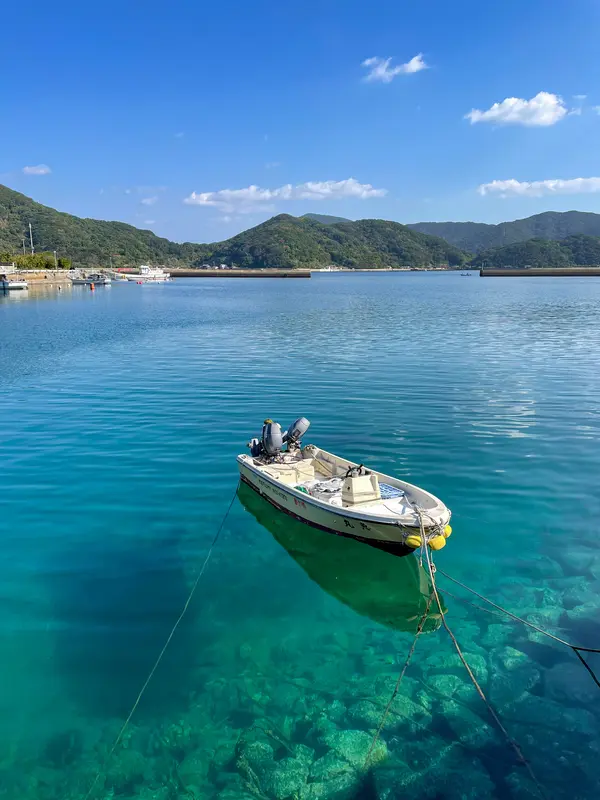 途中に広がる絶景に感動