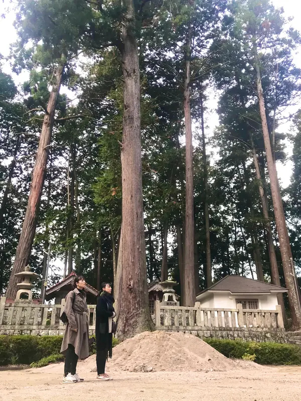 スポット内のおすすめ