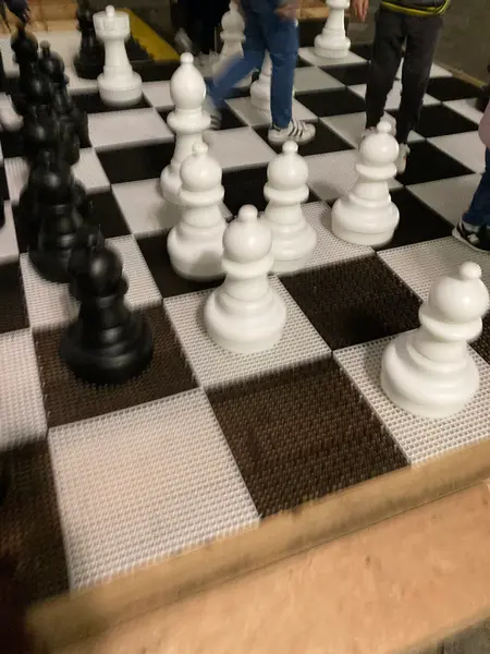 ちょっとハリポタを感じる巨大チェス