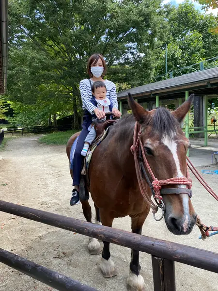 4歳長男は1人でポニーに、1歳次男は私と親子乗馬しました。