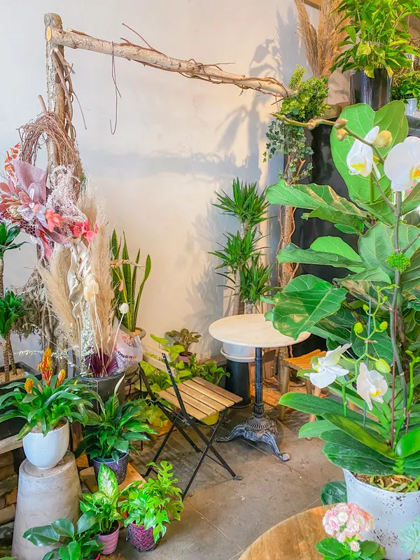植物に囲まれて癒され空間！