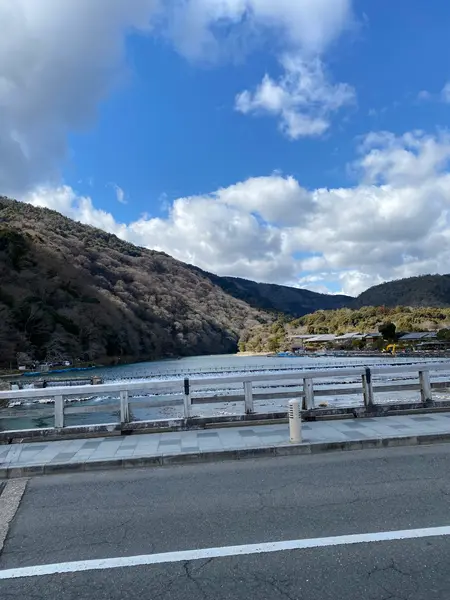 渡月橋から眺める嵐山も美しい✨