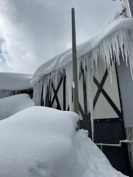 巨大な氷柱を発見👀❗️