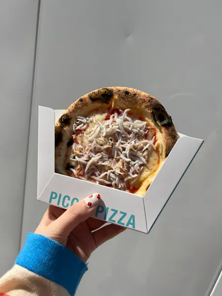 シラスのピザ