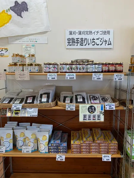 スポット内のおすすめ