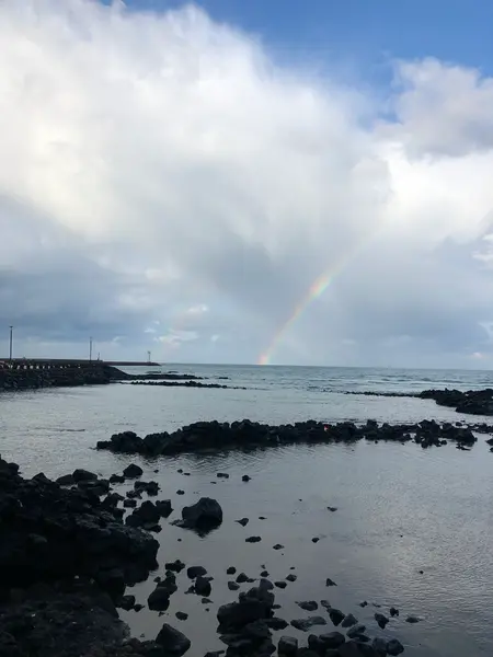 비온 후의 풍경（雨の後の風景）