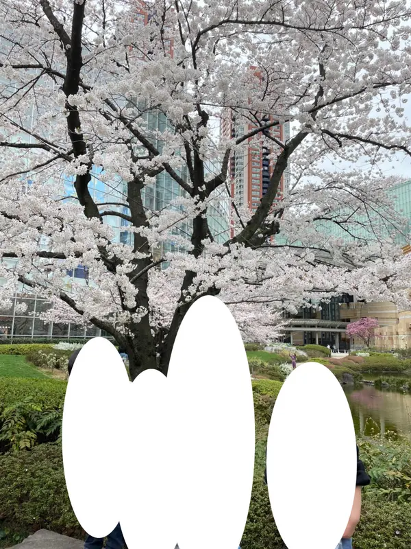 桜の季節も綺麗です。
