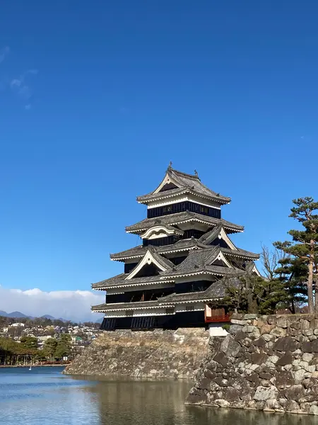 青空に映える!