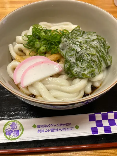 めかぶうどん650円