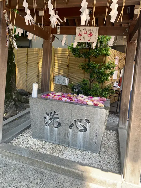 花手水🌸