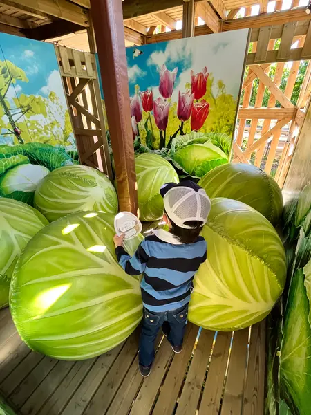 菜園迷路 ポタジェンヌ①