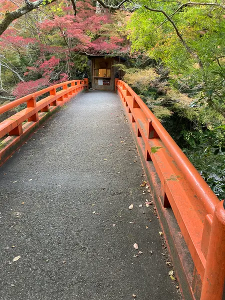 朱色の指月橋。