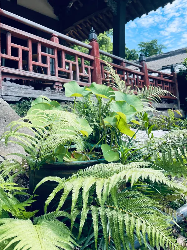唐の雰囲気があちらこちらに。