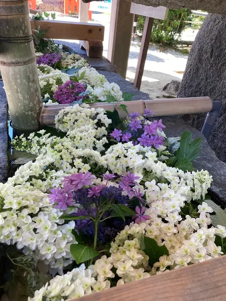 素敵な花手水💐