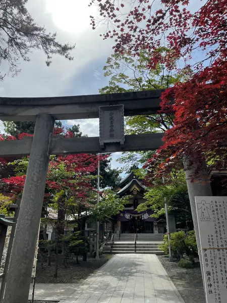 鳥居からの風景