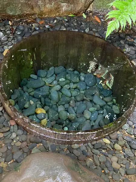 清正の井戸